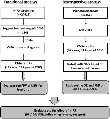 Comprehensive Evaluation of Non-invasive Prenatal Screening to Detect Fetal Copy Number Variations